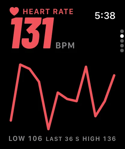 Heart rate page on Apple Watch